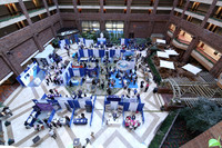 Expo