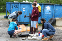 Collecting Data