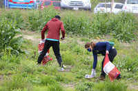 Clean-Up Effort