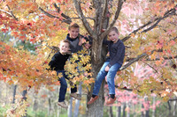Climbing Tree